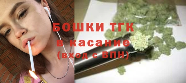 амф Дмитриев