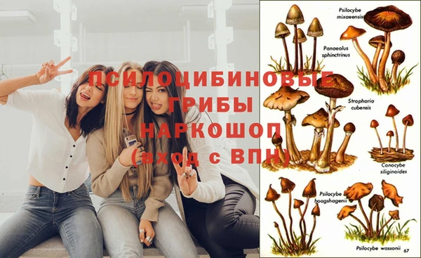 МДМА Горняк
