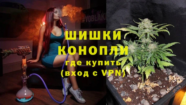 стаф Краснослободск
