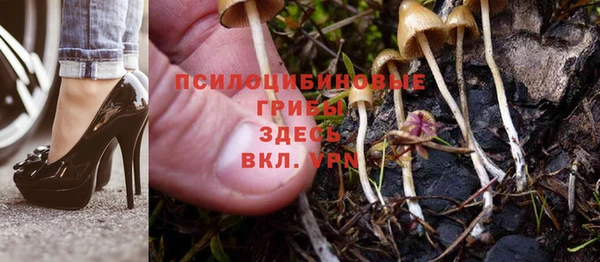 мяу мяу мука Горно-Алтайск