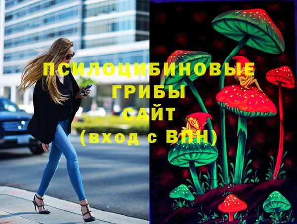 прущая мука Дмитровск