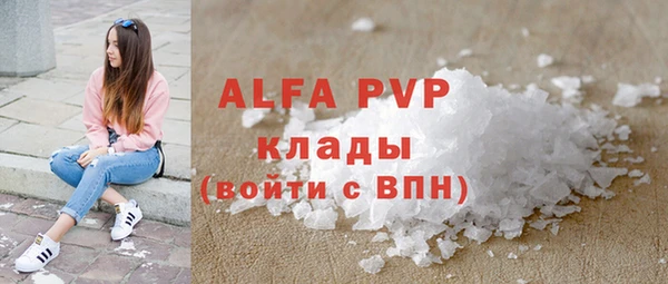 амф Дмитриев