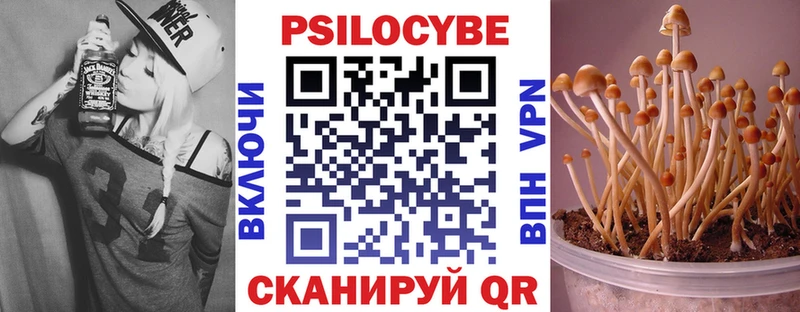 Псилоцибиновые грибы GOLDEN TEACHER  где можно купить   маркетплейс наркотические препараты  Далматово 